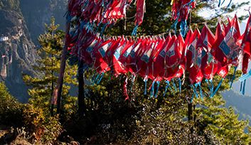 Prayer Flags
